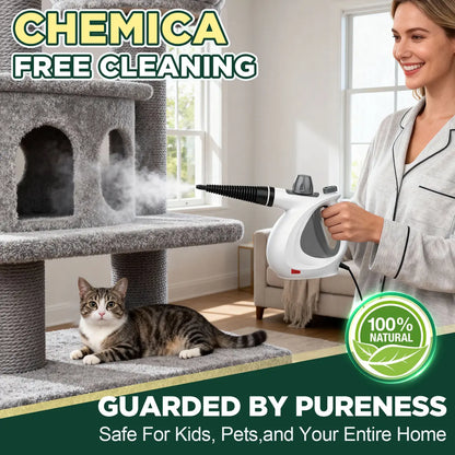 Pressurized Handheld Steam Cleaner Multi Surface Steamer with 12 Accessories for Home Kitchen Car